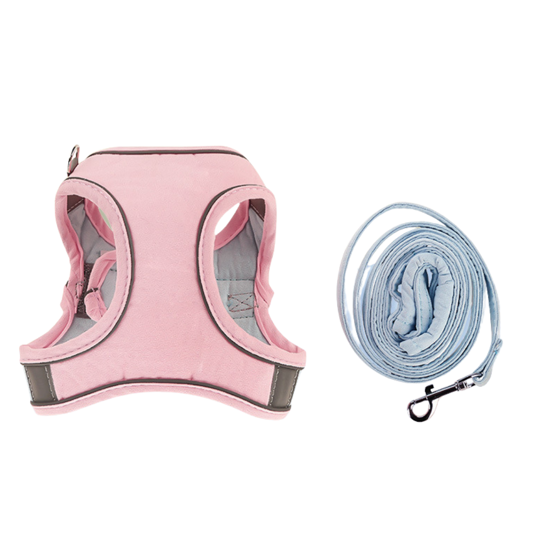 Name Personalized Cat Harness and Leash