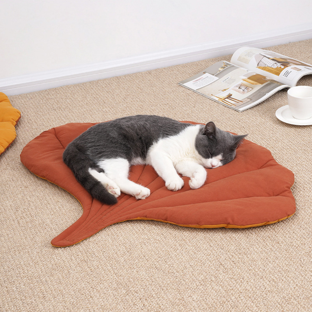 Double-sided Leaf Shape Cat Mat