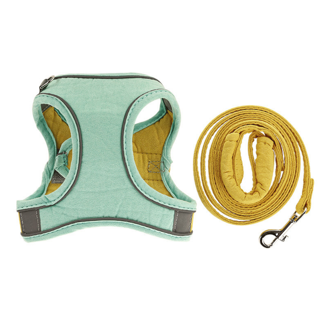 Name Personalized Cat Harness and Leash