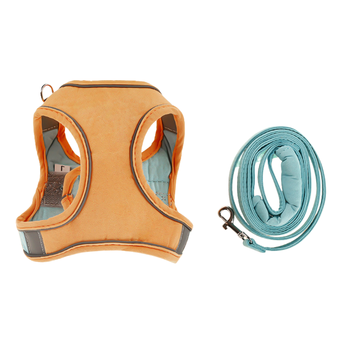 Name Personalized Cat Harness and Leash
