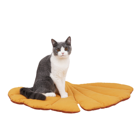 Double-sided Leaf Shape Cat Mat